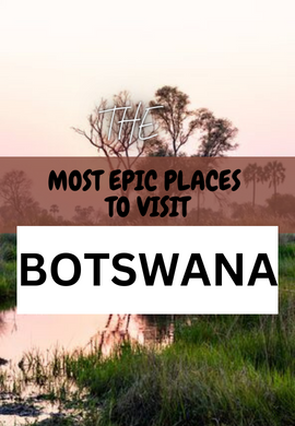Botswana's Breathtaking Tapestry: A Glimpse into Nature's Masterpiece.